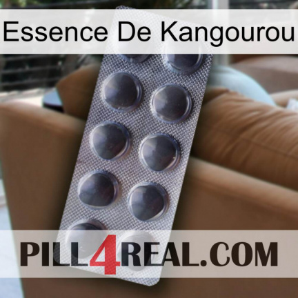 Kangaroo Essence 30